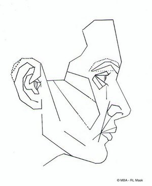 재미로 보는 잘생겼다. 예쁘다. 의 황금비율 마스크 조건.jpg | 인스티즈