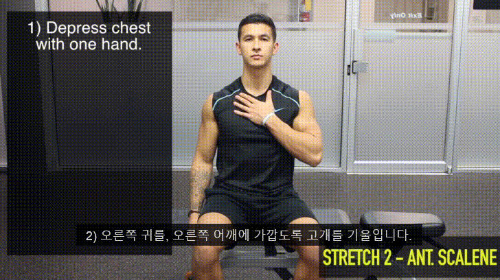 거북목을 고쳐봅시다 - 2탄 (0. 거북목과 이중턱 1.턱 운동에 대해 2.턱운동 해보기) - 데이터 스압주의 | 인스티즈