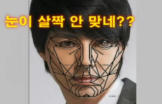 재미로 보는 잘생겼다. 예쁘다. 의 황금비율 마스크 조건.jpg | 인스티즈