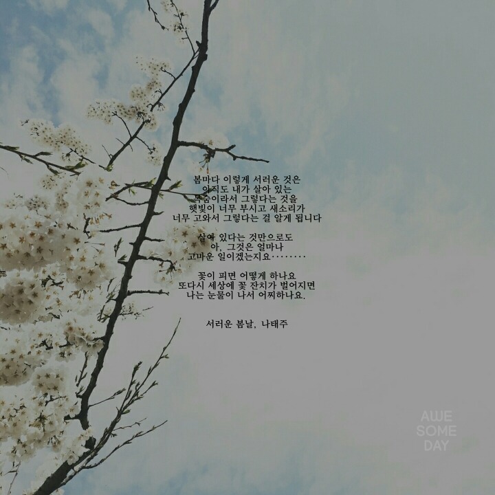 봄에 관한 시 모음 | 인스티즈