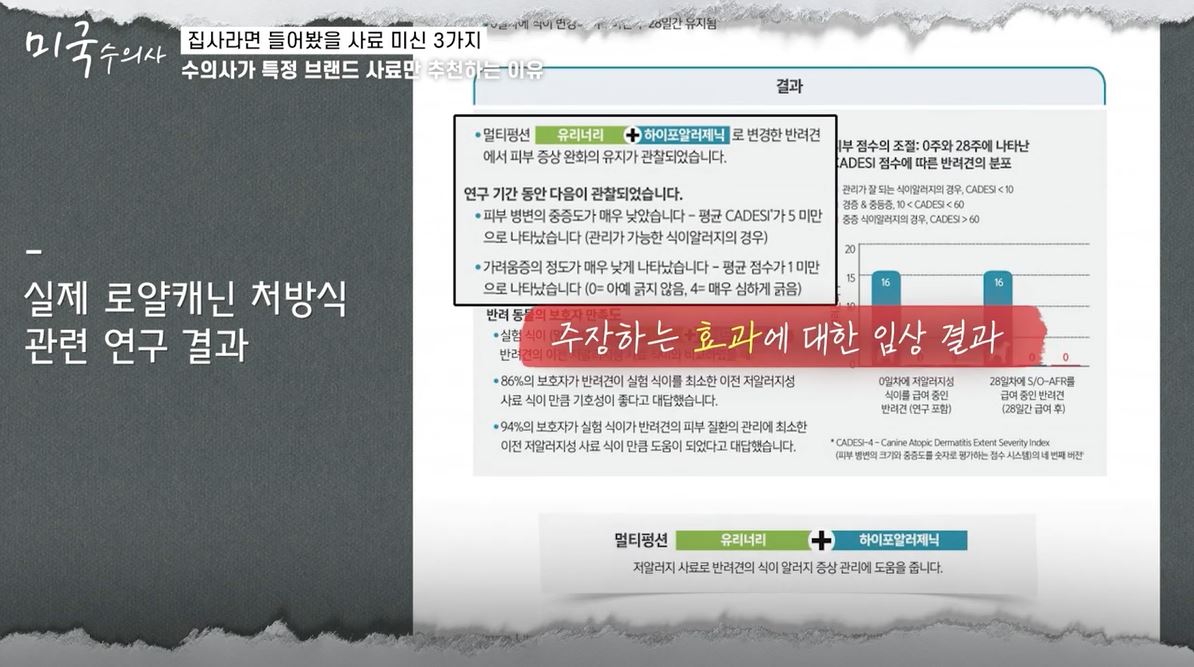 수의사가 절대 "생식"을 추천하지 않는 이유 (강아지 사료 관련 내용 있음) | 인스티즈