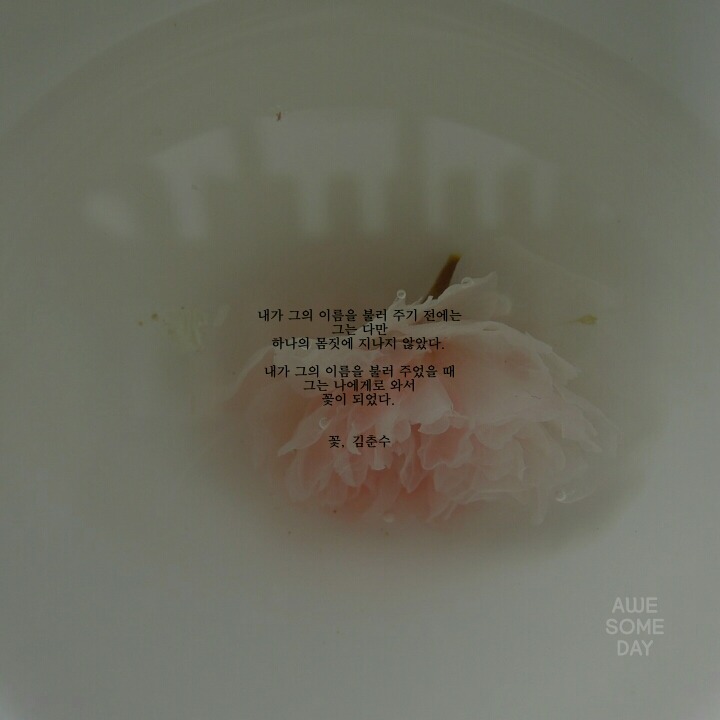 봄에 관한 시 모음 | 인스티즈