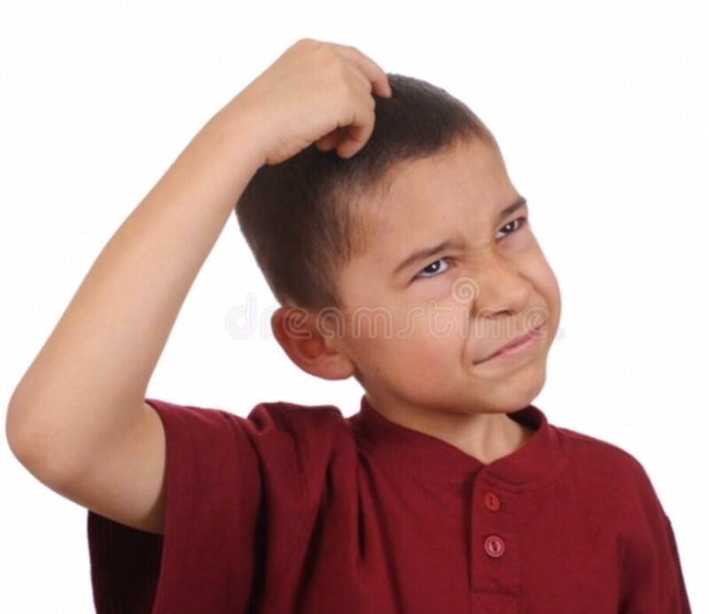 ㅇㅇ이 진짜 내 완식... 근데 완식이 무슨뜻이야?? | 인스티즈