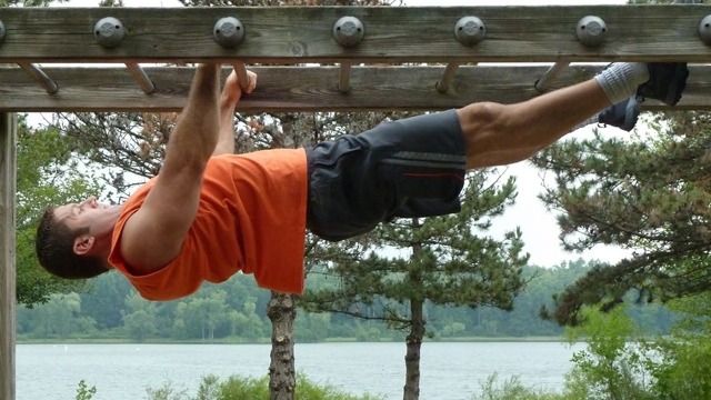 [등운동] 인버티드 로우(Inverted Row) | 인스티즈