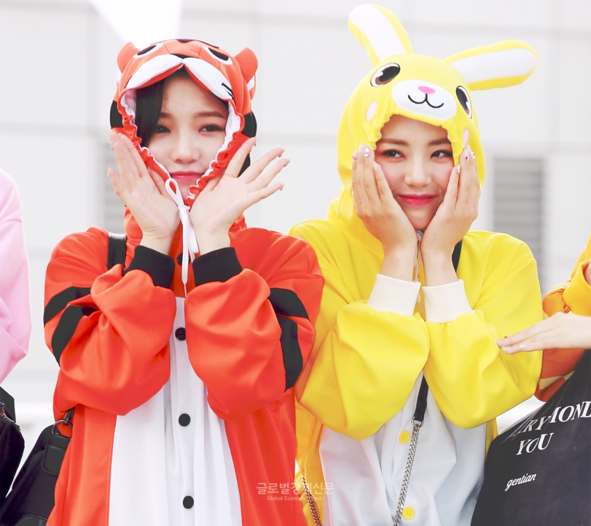 공항에서 호랑이 잠옷 입은 노지선.gif | 인스티즈