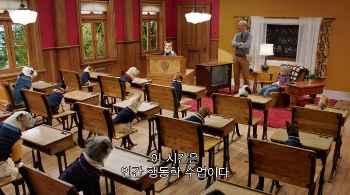 넷플릭스의 강아지 드라마 '퍼피 아카데미' | 인스티즈