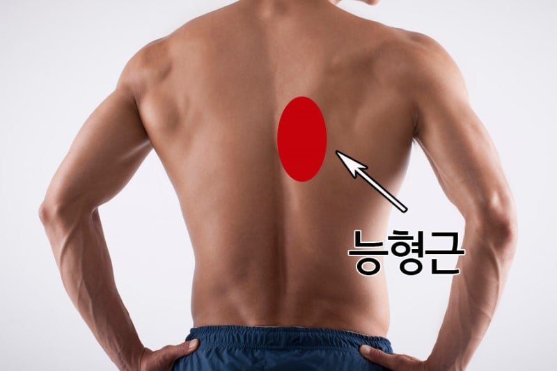사람들이 잘 모르는 거북목, 목 디스크 증상 | 인스티즈