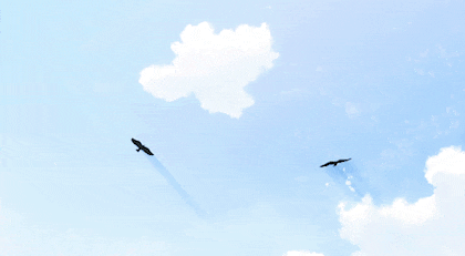 날개도 없는 주제에 하늘을 사랑했다 | 인스티즈