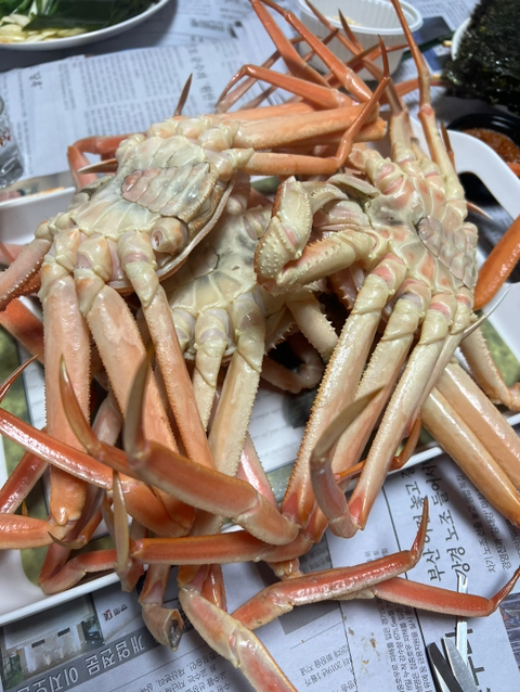 1월1일부터 낮술 땡기는 알콜처돌이의 침샘어택 | 인스티즈