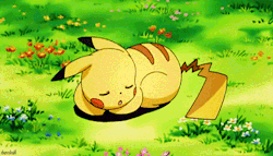 반박불가 포켓몬 원탑 노란 전파 뚱땡이 | 인스티즈