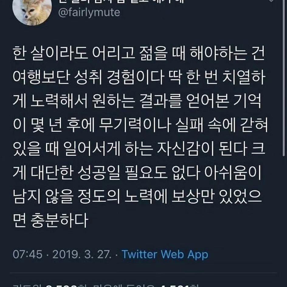 젊을 때 필요한건 여행이 아니라 성취 경험이다 | 인스티즈