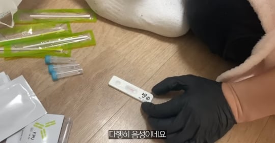 품종묘를 유기 후 일어난 나비효과 | 인스티즈