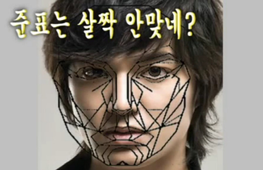 재미로 보는 잘생겼다. 예쁘다. 의 황금비율 마스크 조건.jpg | 인스티즈