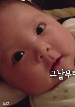  카메라가 꺼지면 변한다는 추성훈의 실체 .jpg | 인스티즈