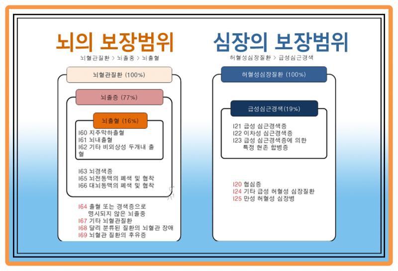 보험 알못이 보험 준비하면서 알게된 것들 정리해봄(스압) | 인스티즈
