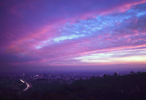 날개도 없는 주제에 하늘을 사랑했다 | 인스티즈