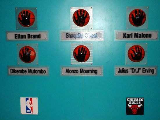 nba 역대 최강 손크기 순위 | 인스티즈