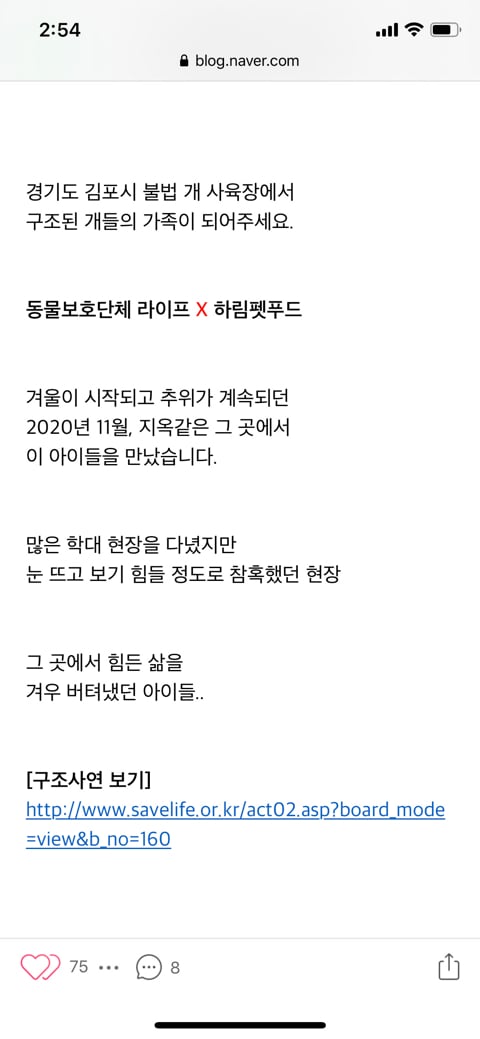 [입양홍보] 경기도 김포시 불법 개 사육장에서 구조된 개들의 가족이 되어주세요 (유튜브 애니멀봐에 올라왔던 사건) | 인스티즈