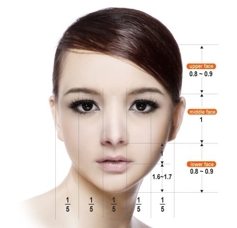 재미로 보는 잘생겼다. 예쁘다. 의 황금비율 마스크 조건.jpg | 인스티즈