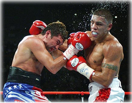 복서들의 하루 일과, 식사, 훈련 루틴 | 인스티즈