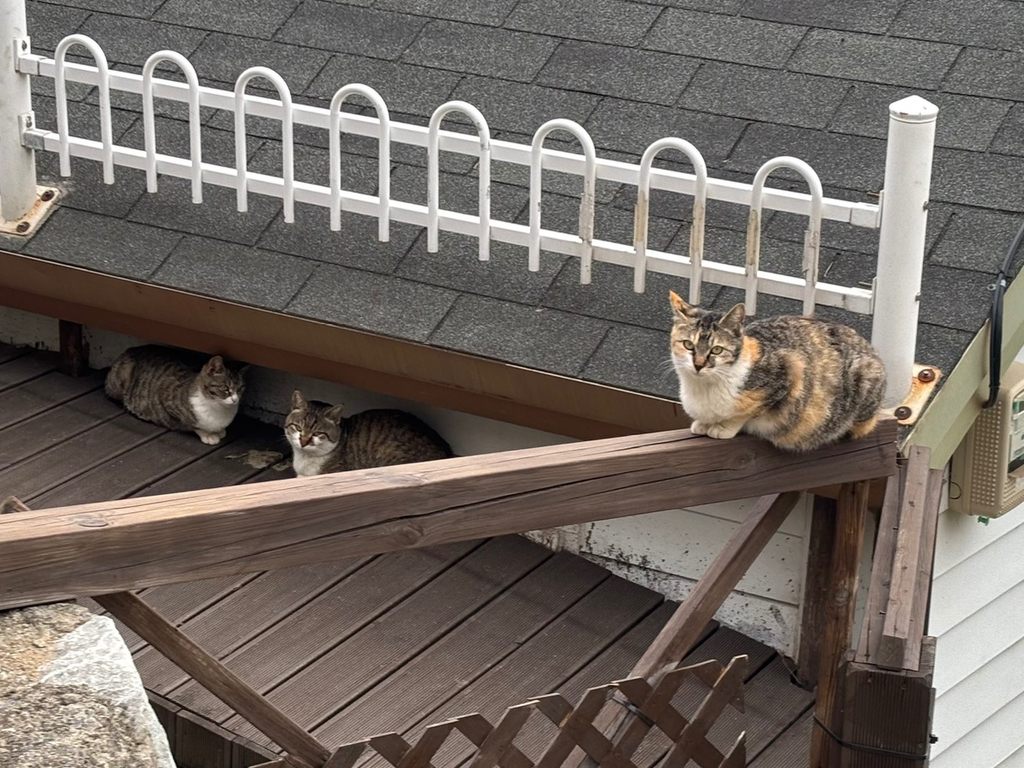 작년부터 소소하게 붐인 혼여로 좋은 여행지.jpg | 인스티즈