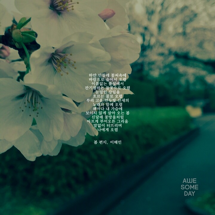 봄에 관한 시 모음 | 인스티즈