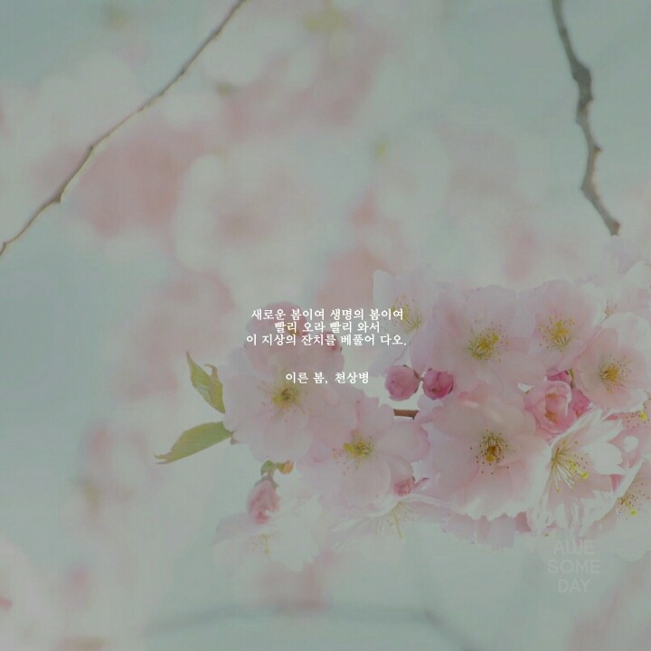 봄에 관한 시 모음 | 인스티즈