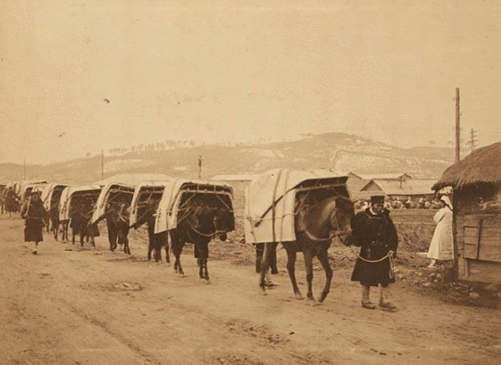 한말(1890)~1940년대까지 사진(목 잘린 사진 2개 주의) | 인스티즈