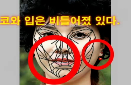 재미로 보는 잘생겼다. 예쁘다. 의 황금비율 마스크 조건.jpg | 인스티즈