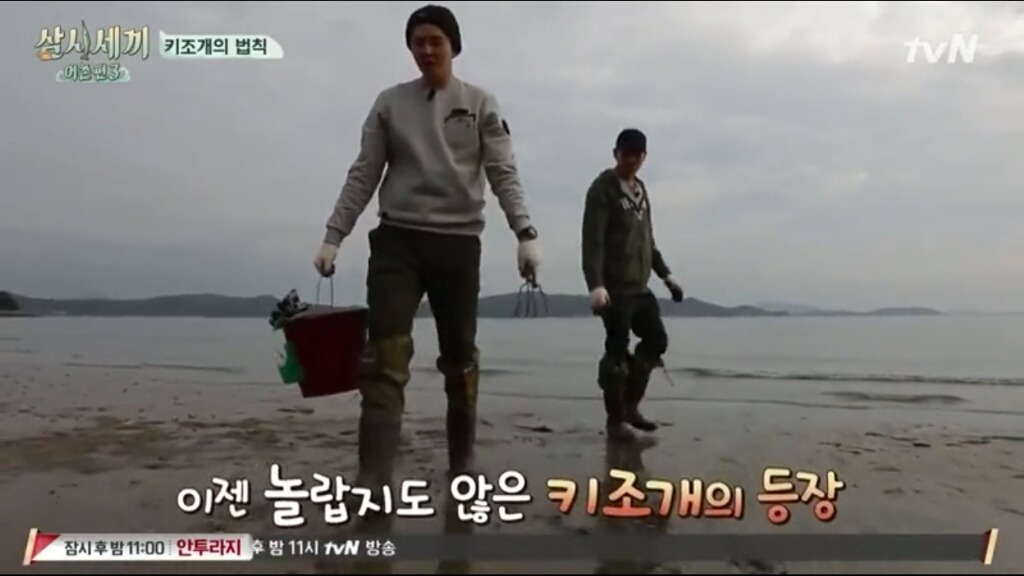 [삼시세끼] 에릭이 말하는 어이없는 키조개의 법칙ㅋㅋㅋㅋㅋㅋㅋㅋㅋ | 인스티즈