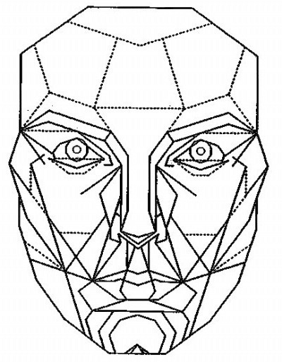 재미로 보는 잘생겼다. 예쁘다. 의 황금비율 마스크 조건.jpg | 인스티즈