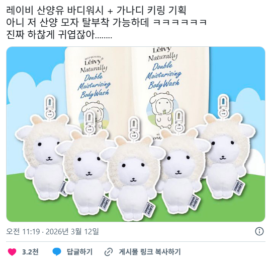 레이비 산양유 바디워시 + 가나디 키링 기획 | 인스티즈