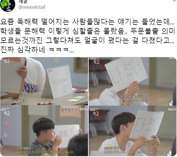 트위터로 밝혀진 요즘 사람들 어휘력 수준..twt | 인스티즈