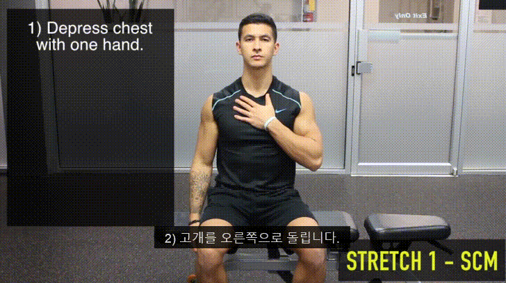 거북목을 고쳐봅시다 - 2탄 (0. 거북목과 이중턱 1.턱 운동에 대해 2.턱운동 해보기) - 데이터 스압주의 | 인스티즈