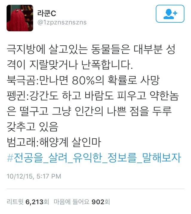 극지방 동물들은 대부분 성격이 맞거나 난폭합니다 (feat. 범고래).twitter | 인스티즈