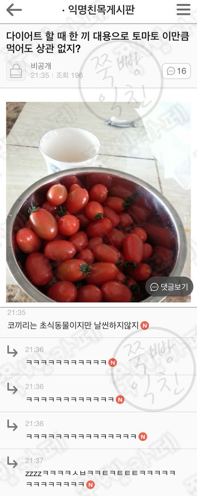 쭉빵 익친 웃긴글 모음ㅋㅋㅋㅋㅋㅋㅋㅋㅋ.jpg | 인스티즈