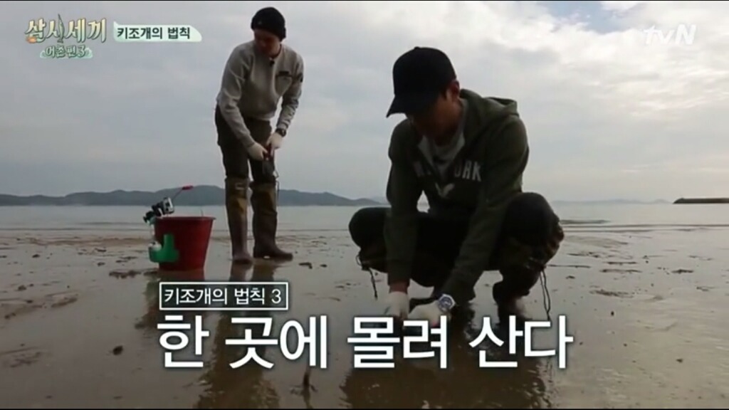 [삼시세끼] 에릭이 말하는 어이없는 키조개의 법칙ㅋㅋㅋㅋㅋㅋㅋㅋㅋ | 인스티즈