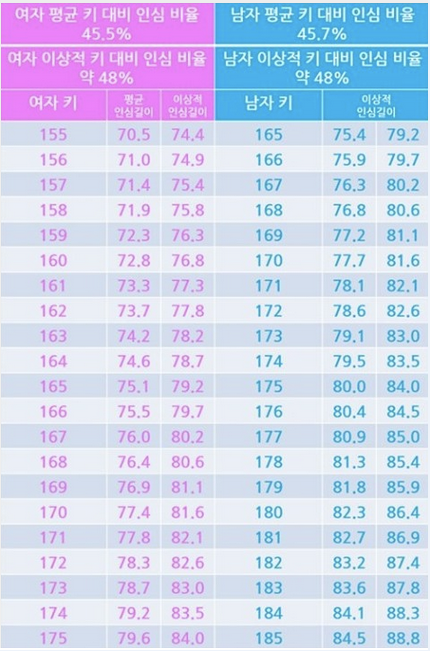 다리길이 재는법 및 키별 평균치는?(Feat 팔길이포함) | 인스티즈