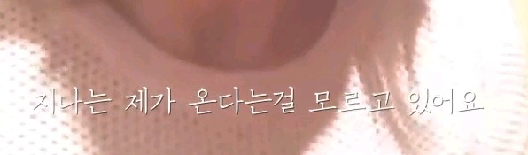 테일러 스위프트의 팬 결혼식 뒷풀이 찾아가는 브이로그 캡쳐 | 인스티즈