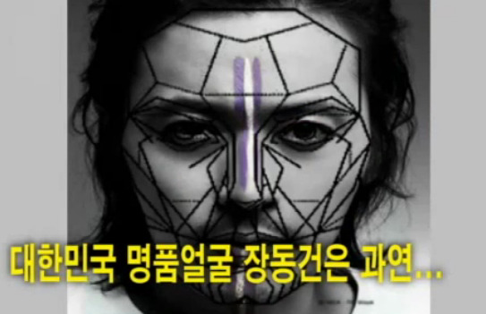 재미로 보는 잘생겼다. 예쁘다. 의 황금비율 마스크 조건.jpg | 인스티즈