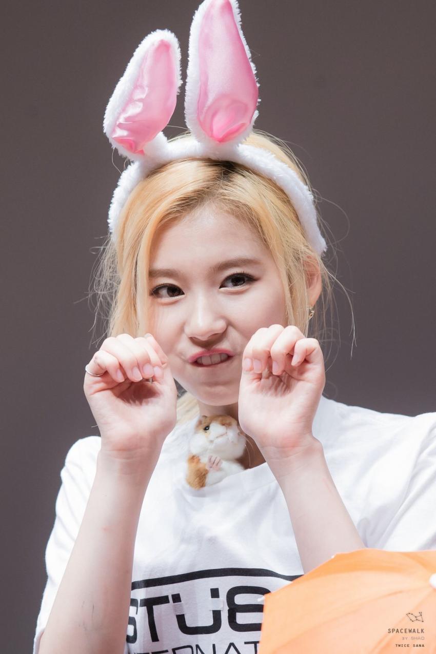 [트와이스] 사나없이 사나마나 사나 짤모음.jpg | 인스티즈