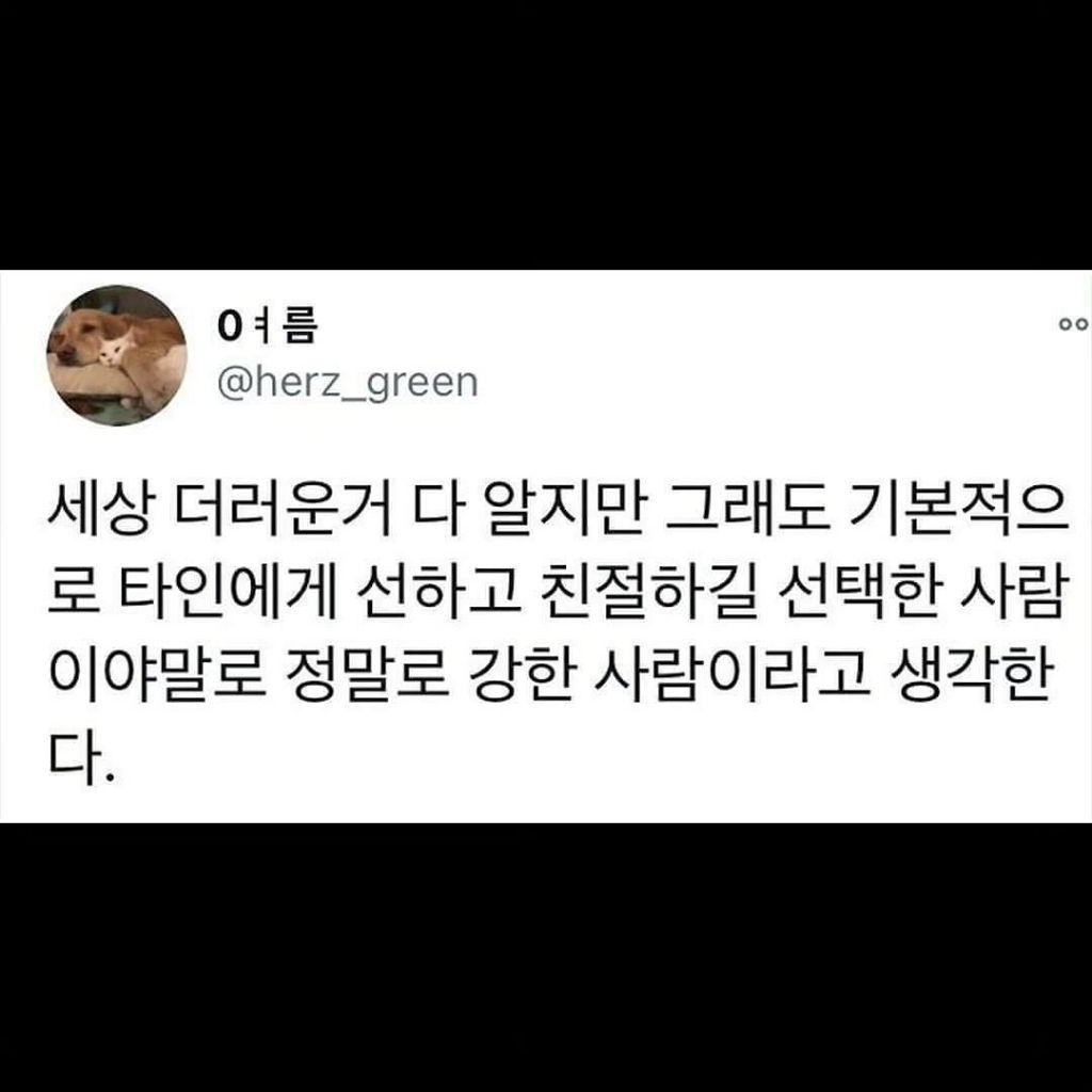 젊을 때 필요한건 여행이 아니라 성취 경험이다 | 인스티즈