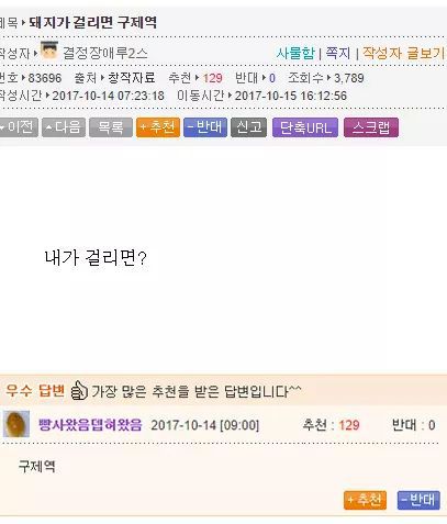 대학물 먹은 드립 모음 | 인스티즈