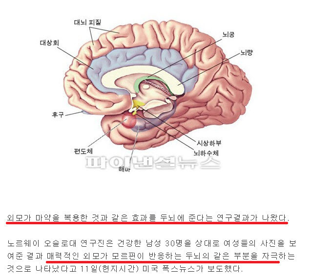 남자가 예쁜 여자를 보면 행복해지는 이유.jpg | 인스티즈