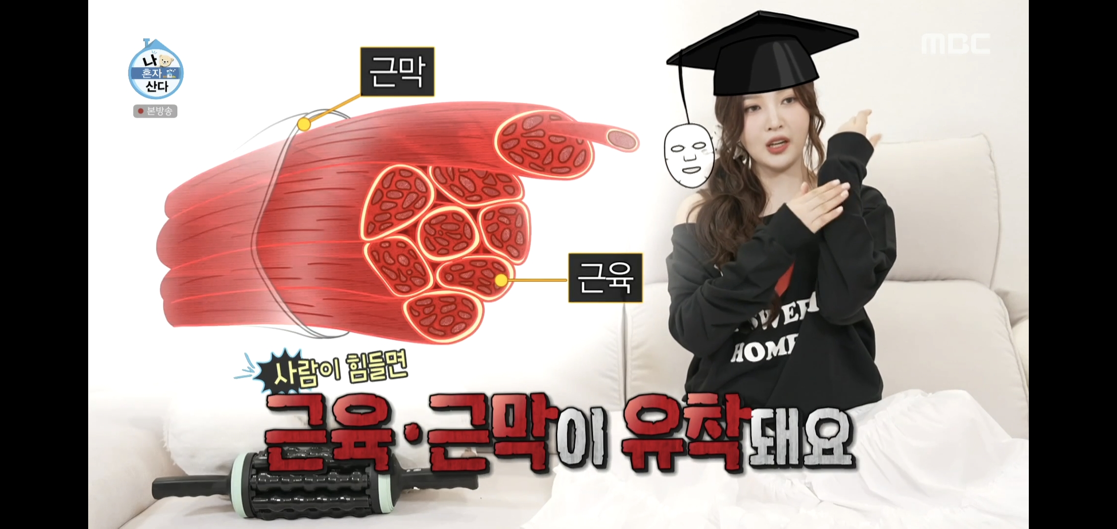 제발 ppl이었으면 좋겠다는 어제자 나혼자산다 레드벨벳 조이편.jpg | 인스티즈