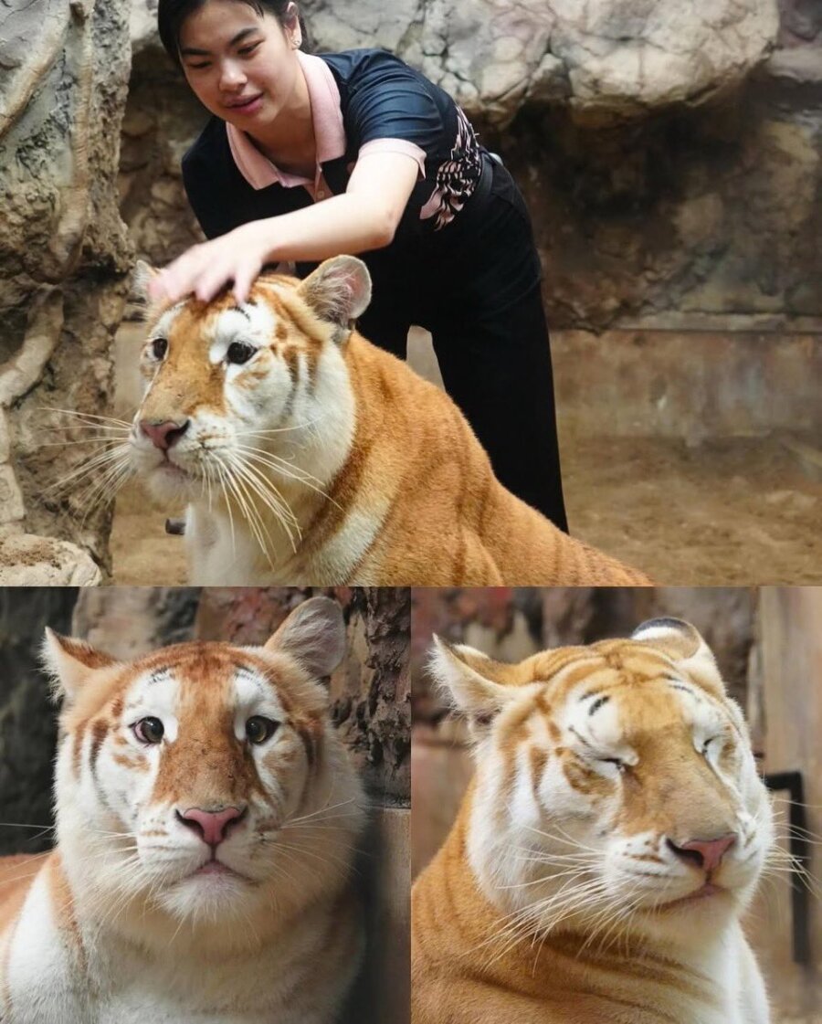 스모키 메이크업이 인상에 미치는 영향 | 인스티즈