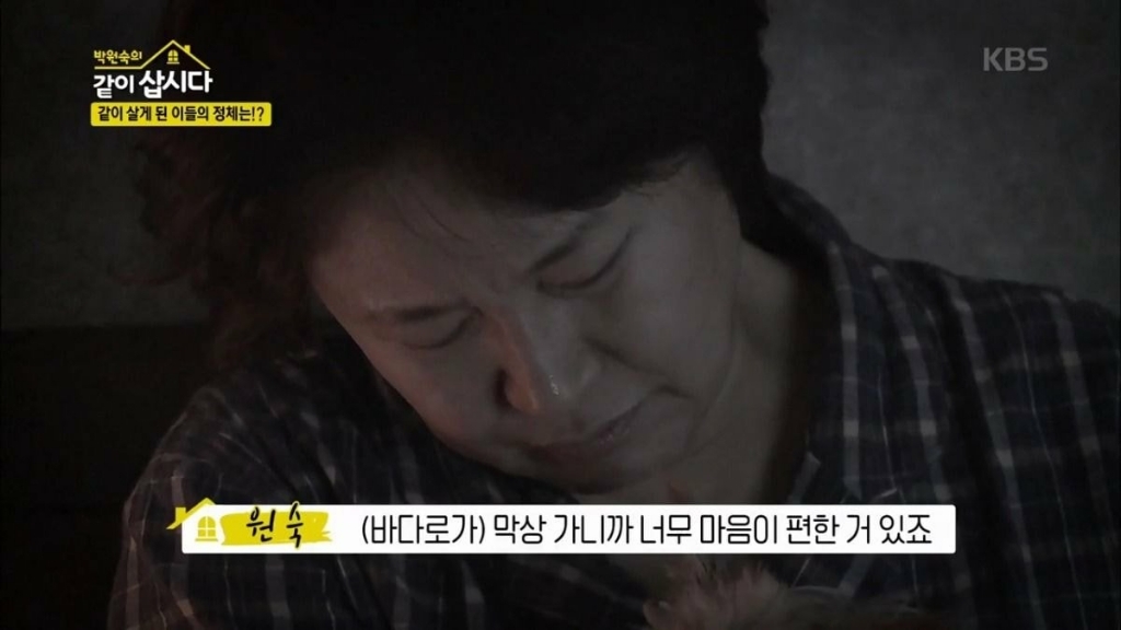 이제 더이상 반려견을 키우지 않겠다는 배우 박원숙.jpg | 인스티즈