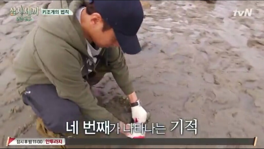 [삼시세끼] 에릭이 말하는 어이없는 키조개의 법칙ㅋㅋㅋㅋㅋㅋㅋㅋㅋ | 인스티즈