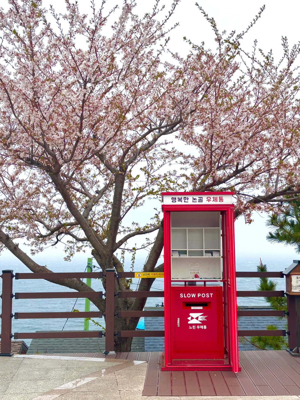 작년부터 소소하게 붐인 혼여로 좋은 여행지.jpg | 인스티즈