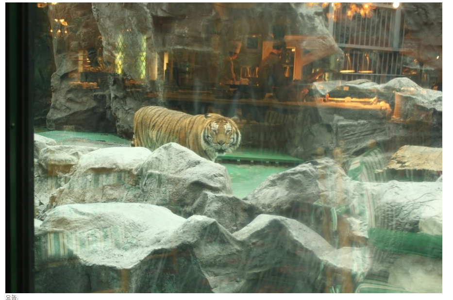 흙오이급으로 안나오는 옛날 부산 롯데월드.jpg | 인스티즈